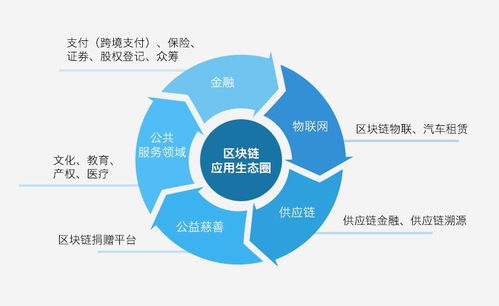 2024年12月6日 第46页