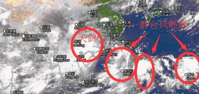 台风天鸽路径最新,台风天鸽路径最新动态分析