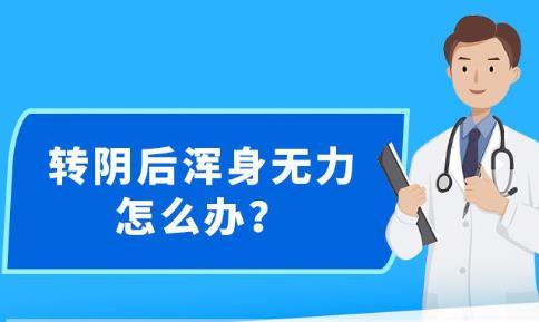 2024年12月12日 第48页