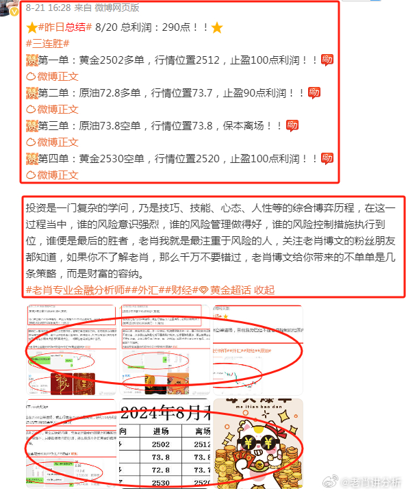 2024澳彩管家婆资料龙蚕,揭秘澳彩管家婆资料龙蚕，深度解析与预测展望（2024版）