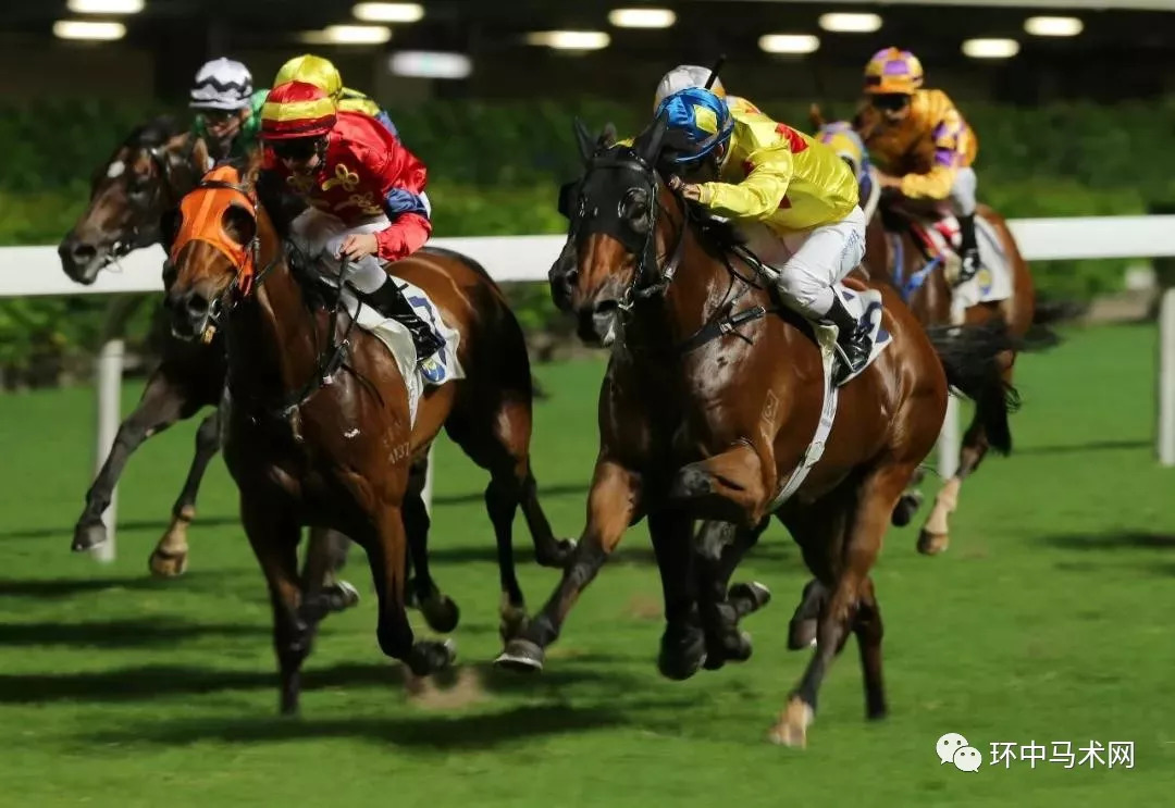 香港今晚开什么特马,香港今晚开什么特马，赛马文化深度解析与赛事展望