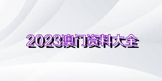 新澳门资料大全正版资料2023,关于新澳门资料大全正版资料2023的探讨与反思——警惕违法犯罪问题