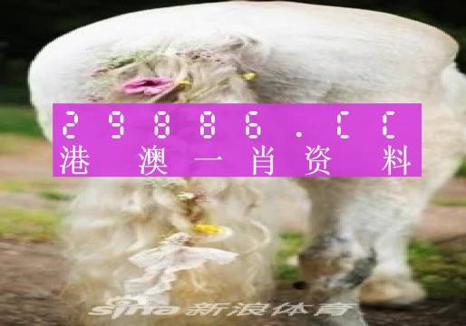 澳门一肖一码必中一肖213期039期 03-19-33-39-49-04T：28,澳门一肖一码必中技巧揭秘，探索第213期与039期的奥秘