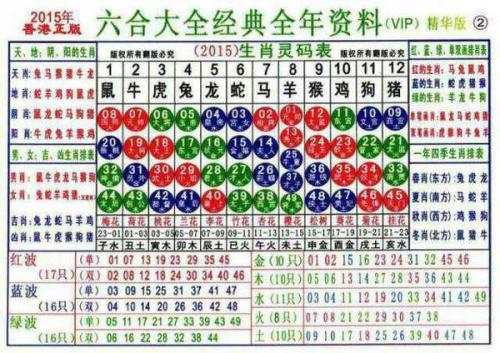 2025十二生肖49个码004期 04-49-26-19-30-44T：10,探索十二生肖的魅力与数字世界的神秘交汇——以2025年第4期十二生肖49个码为例